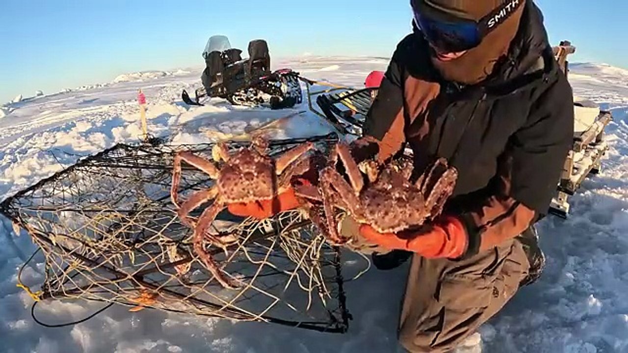 Frozen Ocean Fishing for King Crab & Hunting Ptarmigan Giant #Frozen #Hunting #Giant #King waves and ships at the North Sea, Giant Mysterious Sea Creatures, Most Awesome Underwater,