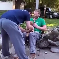 "Crazy & Funny Animals 🤣 Best Pet Fails Ever!"