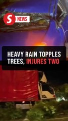 Two injured in fallen tree incidents