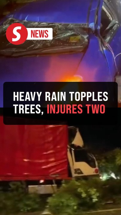 Two injured in fallen tree incidents