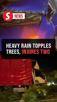 Two injured in fallen tree incidents