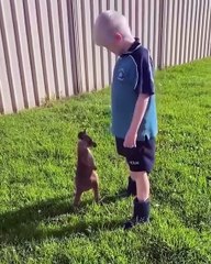 The baby kangaroo is like "Where is your pouch? I wanna rest" 😭