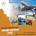 Explore The Beauty of Arusha National Park