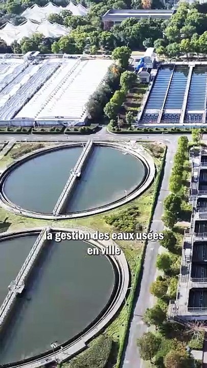 Peut-on remplacer les engrais industriels par de l'urine humaine ?