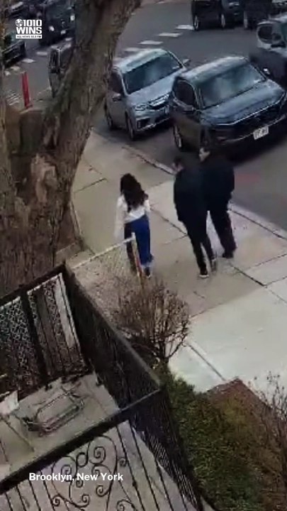 Tree falls in Brooklyn