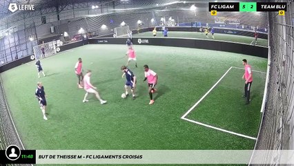 But de Theisse M - Fc Ligaments Croisés