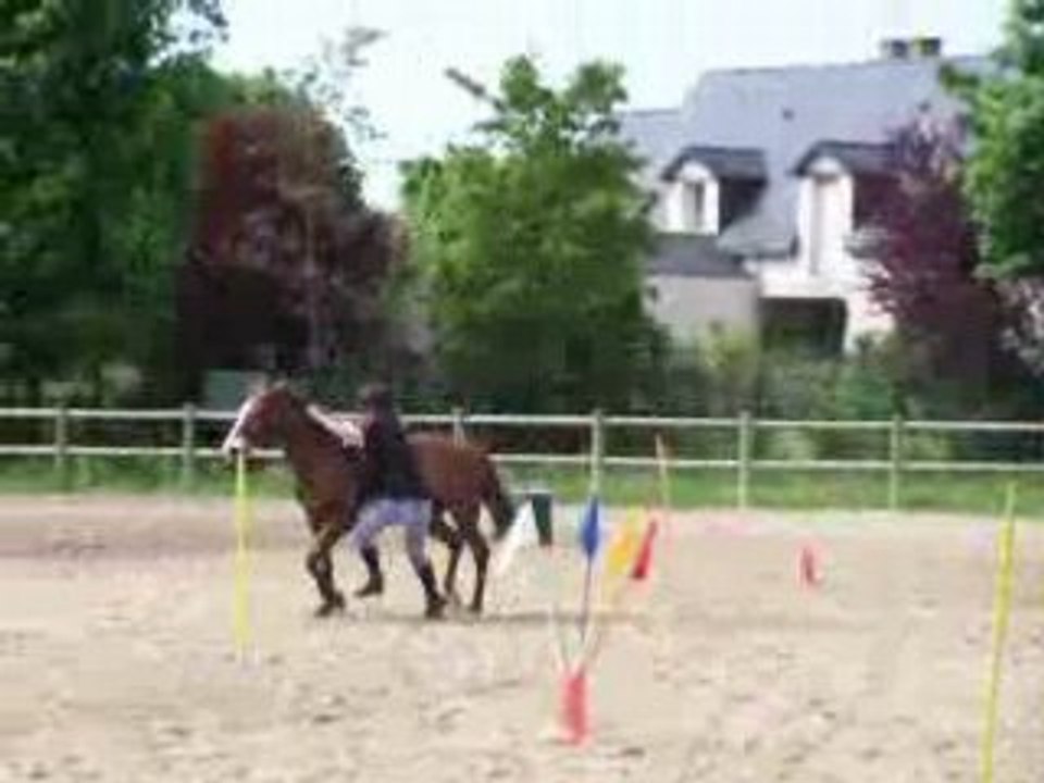 Photo 091