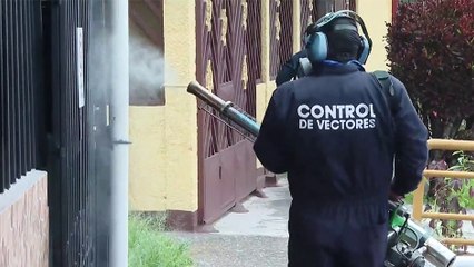 tn7-expertos-advierten-que-mosquitos-desarrollan-resistencia-a-insecticidas-050325