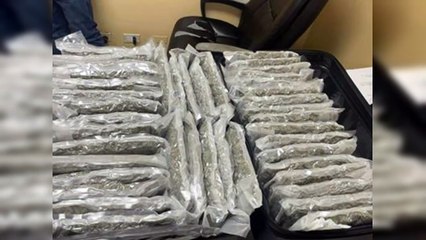 Detienen 7 canadienses con marihuana en aeropuerto de La Romana