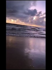 Cobra “assiste” ao nascer do sol na areia da praia e até entra no mar SC