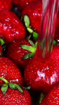 Cuatro frutas de temporada y sus beneficios