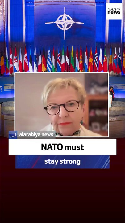 Former NATO official: NATO must stay resilient without the US
