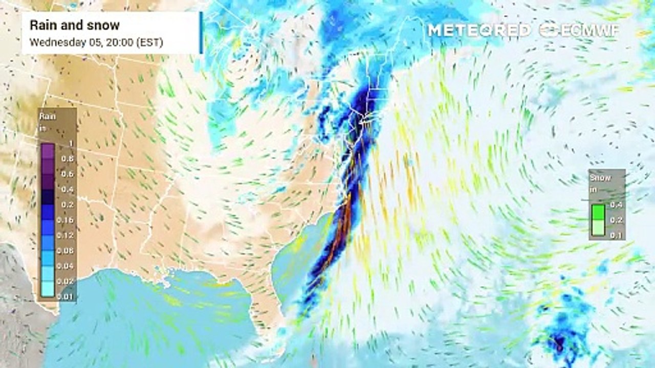 New York weather