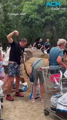 Sandbags to iron fences: millions braces for cyclone