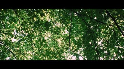 Bambi: Uma Aventura na Floresta | movie | 2025 | Official Trailer