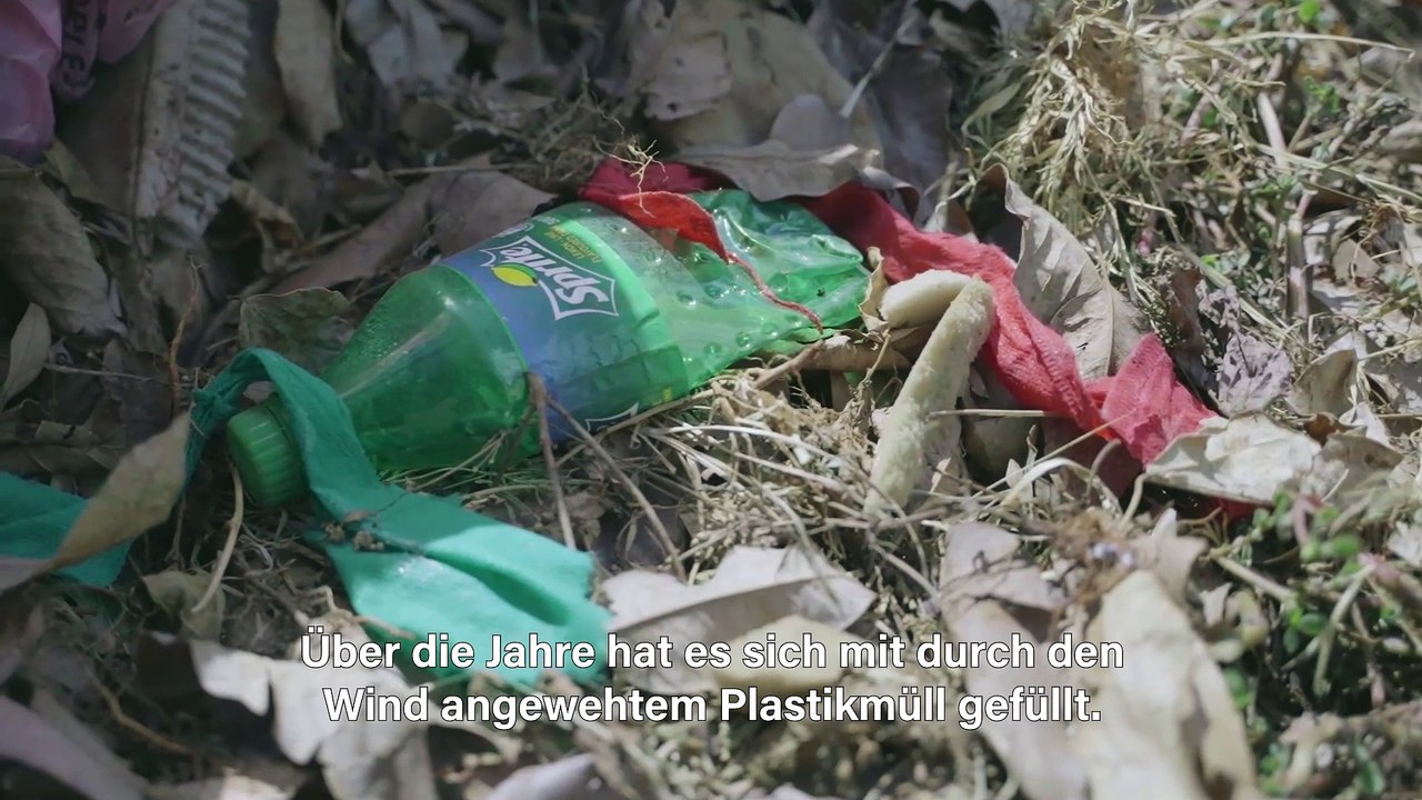 Drei grüne Helden für eine bessere Zukunft