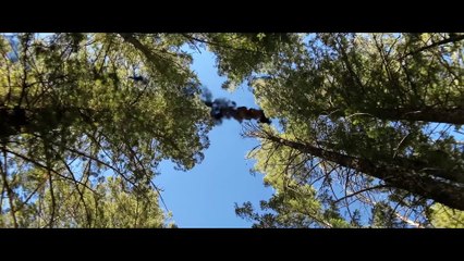 Seals: Operação Resgate | movie | 2023 | Official Trailer