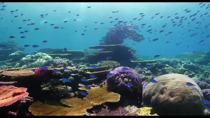 Oceans: Our Blue Planet | movie | 2018 | Official Trailer