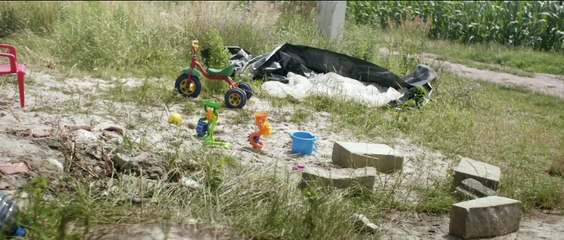 Dzikie róże | movie | 2017 | Official Trailer