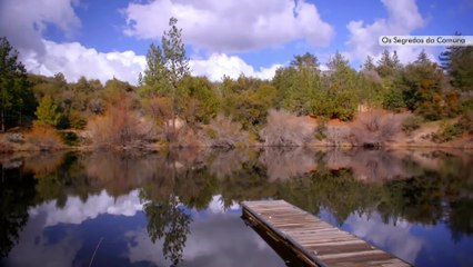 Os Segredos da Comuna | movie | 2021 | Official Trailer