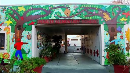 Creating Gender Inclusive Schools | movie | 2016 | Official Trailer