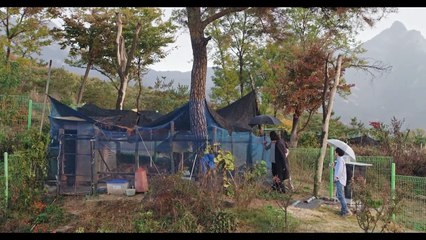 The Woman Who Ran | movie | 2020 | Official Teaser