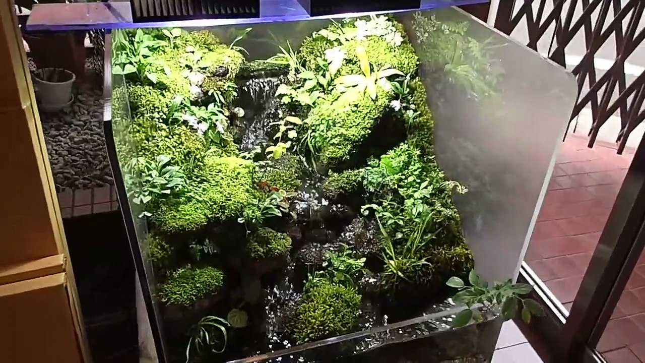 Aquarium