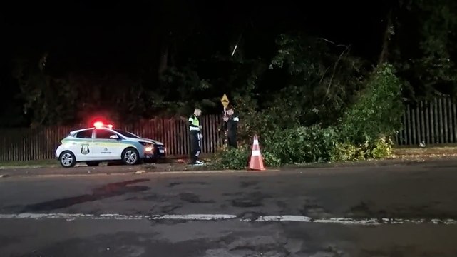 Atenção condutores! Queda de árvore é registrada na região do Parque Vitória