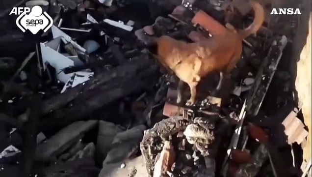 Esplosione dopo fuga di gas in una casa in Spagna, 17 feriti