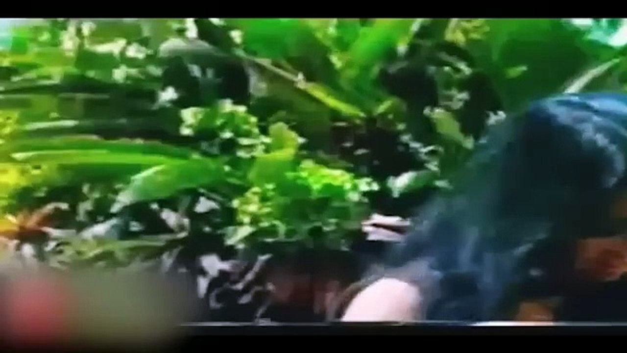 Rakit 1971   FULL MOVIE