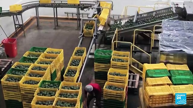 EE. UU. retrasará un mes los aranceles sobre vehículos fabricados en Norteamérica