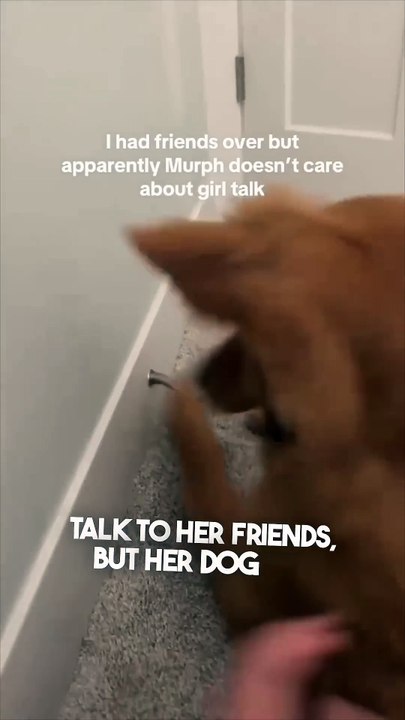 Her dog was interrupting the girl talk 😂