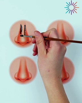 Makeup lessons & techniques, begginers' guide