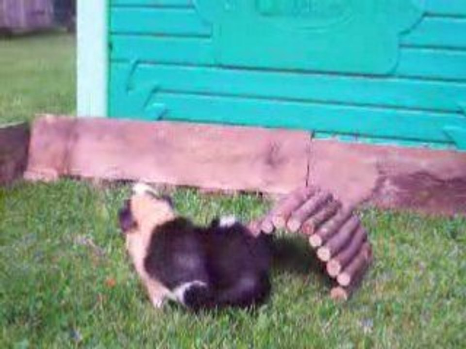 Taïkô, la première sortie...