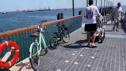 Teen Performs Amazing Backwards Dive Off Kurnell Wharf 🌊