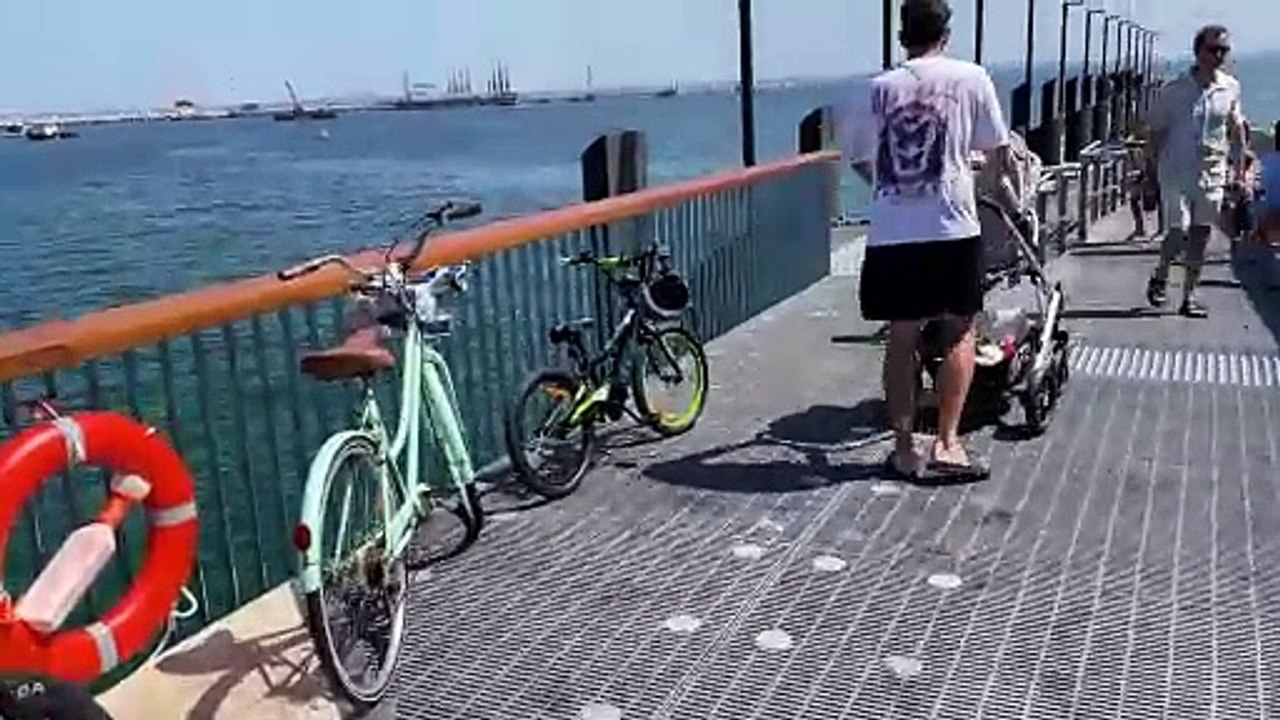 Diving off Kurnell wharf