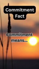 Understanding Commitment Facts