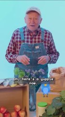 If Organic Farmers Markets Were Honest