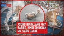 Asong inakalang may rabies, hindi sinukuan ng isang babae | GMA Integrated Newsfeed