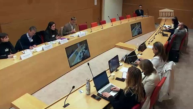 Délégation aux droits des enfants : Représentants des associations OPEN et Point de contact - Mercredi 5 mars 2025