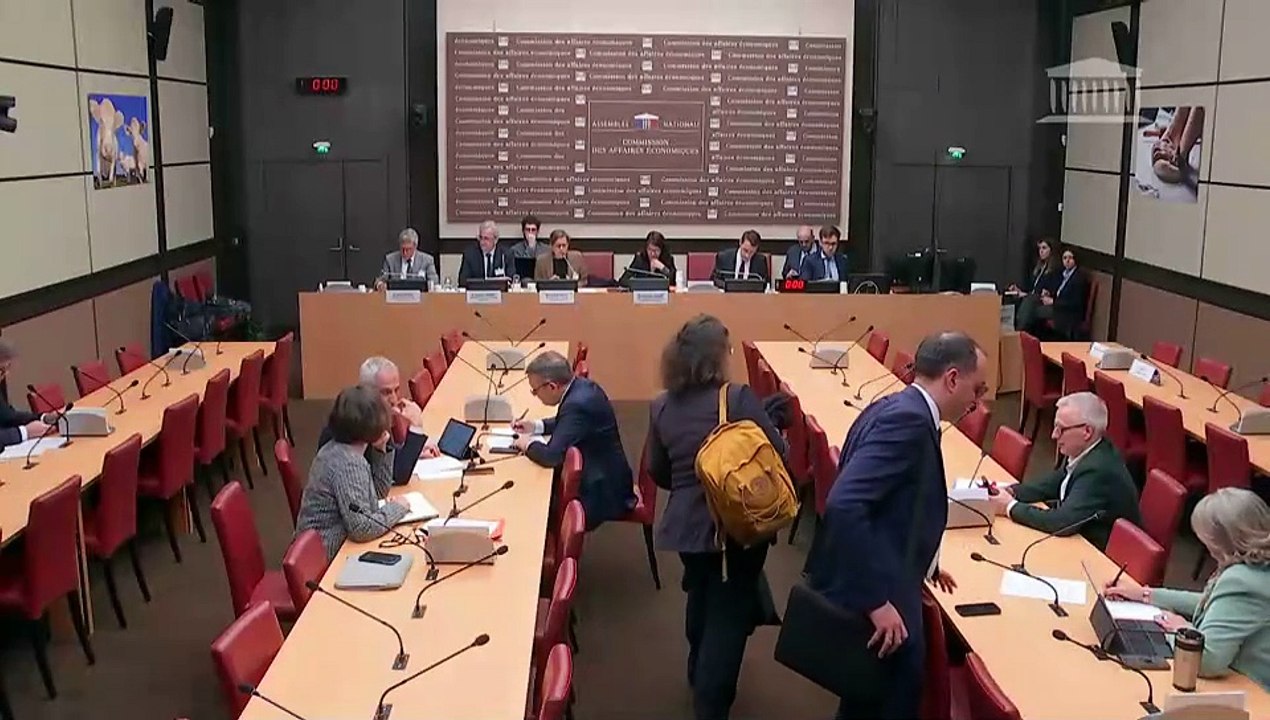 Commission des affaires économiques : Membres du Comex de France Chimie sur la situation économique et les perspectives de développement de l’industrie chimique en France - Mercredi 5 mars 2025