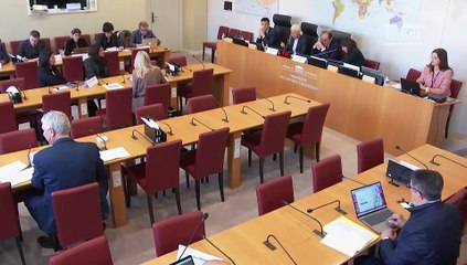 Commission des affaires étrangères : Problématiques rencontrées par les Français vivant en zone transfrontalière dans l'hexagone - Mercredi 5 mars 2025