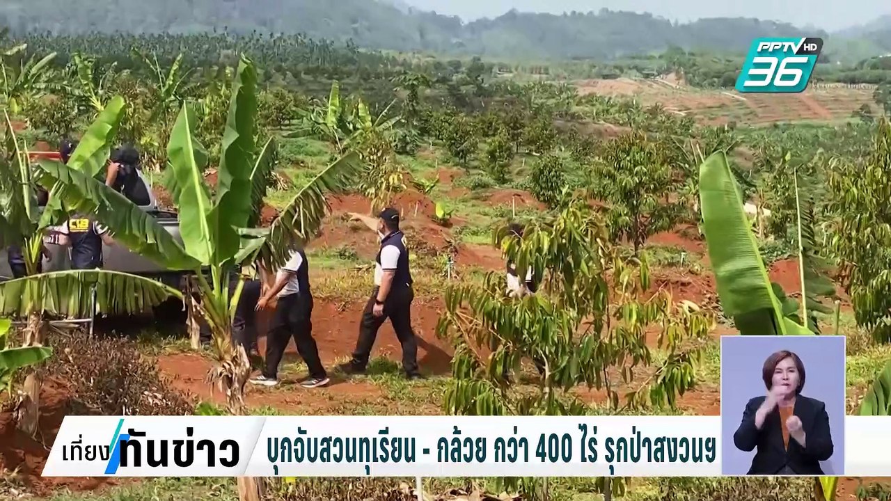 บุกจับสวนทุเรียน - กล้วย กว่า 400 ไร่ รุกป่าสงวนฯ| เที่ยงทันข่าว | 6 มี.ค. 68