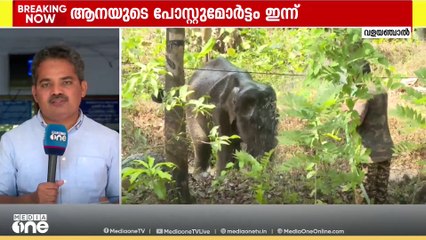 കണ്ണൂർ കരിക്കോട്ടക്കരിയിൽ മയക്കുവെടിവെച്ച ശേഷം ചരിഞ്ഞ കുട്ടിയാനയുടെ പോസ്റ്റുമോർട്ടം ഇന്ന്