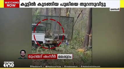 മഞ്ചേരിയിൽ കൂട്ടിൽ കുടുങ്ങിയ പുലിയെ വനത്തിൽ തുറന്നുവിട്ടു