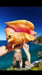 Exploring Super Rare Gemstones _ Rainbow Ammolite Stole the Show! 🤩