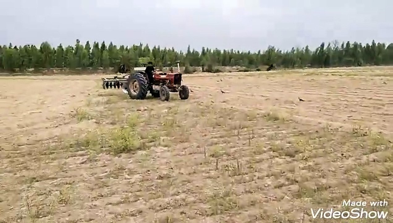 5258665515799538525_play.mp4_logo_US