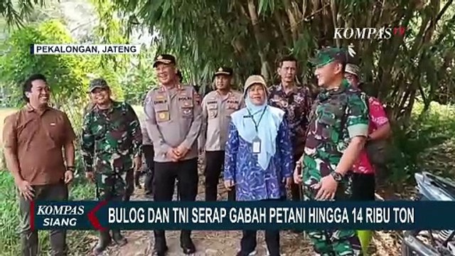 TNI Dampingi Petani di Pekalongan, Bulog Serap Gabah dengan Harga Rp 6.500 per Kg