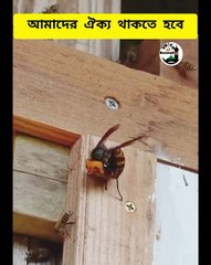 এটাই হচ্ছে ঐক্য থাকার সব থেকে বড় গুনাহ