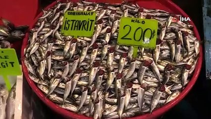 Bandırma'da Ramazan Ayı'nda balık bolluğu